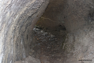 Monte Cicirello